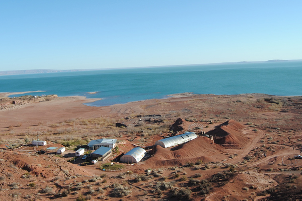 Paleontología en Neuquén