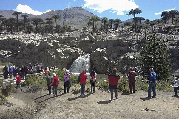 Relax termal, aventura y araucarias al pie del volcán Copahue - Contado en primera persona...