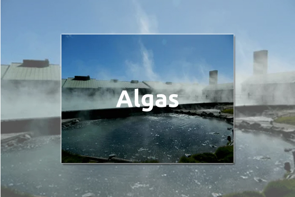 Recursos termales en Copahue, hoy: Algas