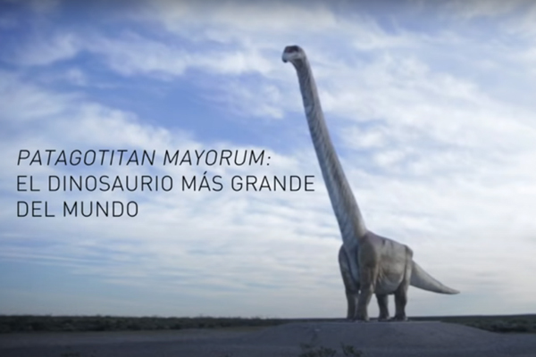 Patagotitan Mayorum- el dinosaurio más grande del Mundo