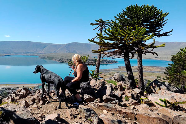 Ruta del Pehuén, un Jardín Patagónico dominado por las araucarias