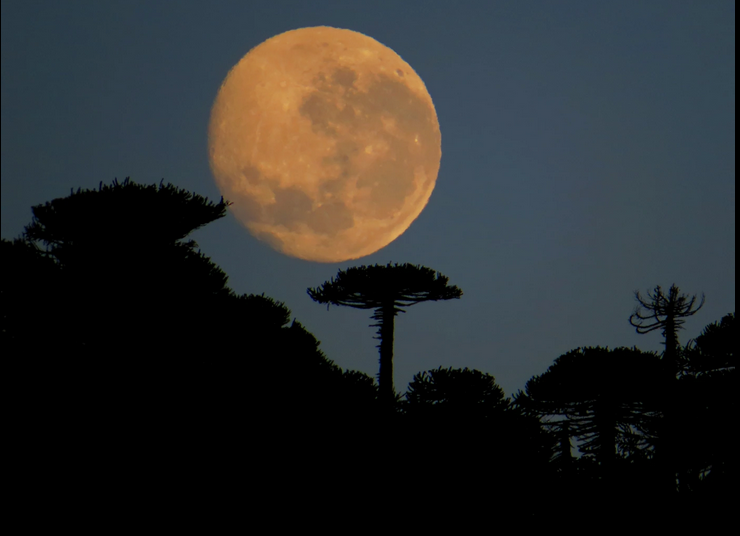 Noche Mágica en Caviahue