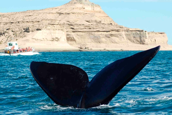 Caviahue (Neuquén) & Puerto Madryn (Chubut)