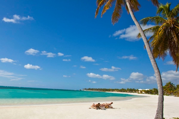 Punta Cana & Costa Crucero| Rep. Dominicana´21