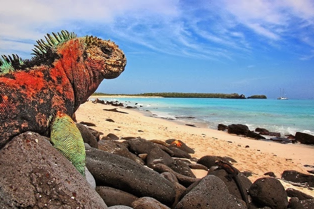 Quito & Galápagos - Ecuador