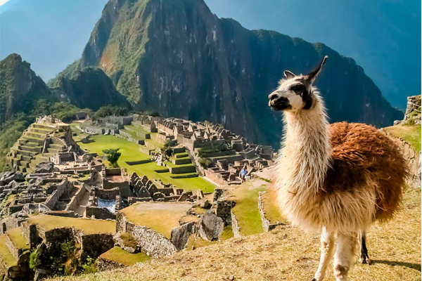 Amanecer en Machu Picchu | Perú