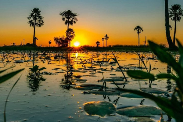 Esteros del Iberá | Corrientes