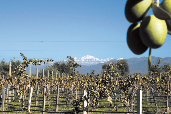 Mendoza y San Luis
