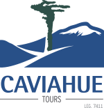 Caviahue Tours